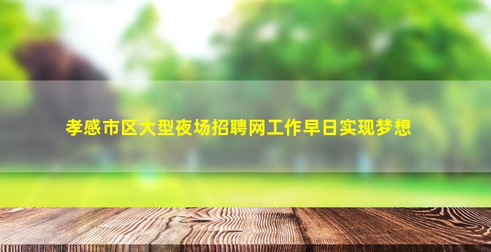 孝感市区大型夜场招聘网工作早日实现梦想